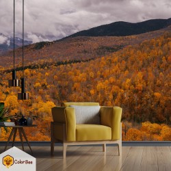 Fototapetai "Autumn view of mountains with forest"